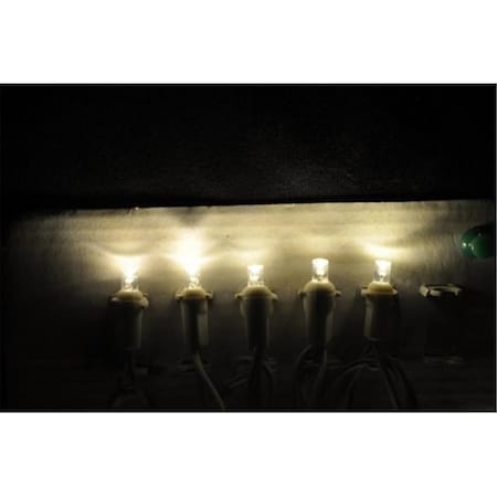 Forever Bright Kellogg Plastics 025 in Holiday  Christmas Indoor  Outdoor LED Warm White 45394